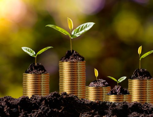 Inversión en terreno a 5 años: ¿Cuánto puede aumentar su valor?