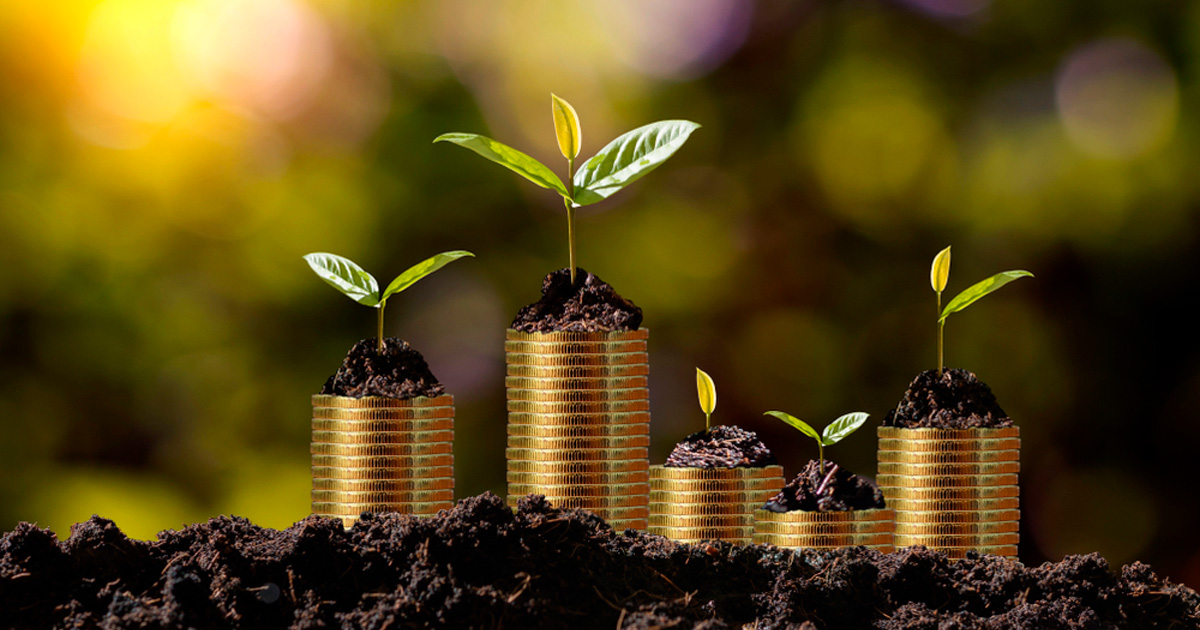 Cuánto aumenta un terreno en 5 años representado con crecimiento de inversión y plusvalía inmobiliaria