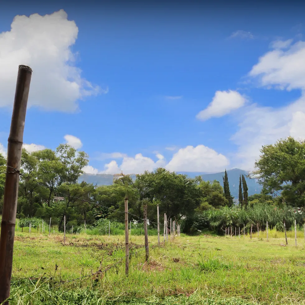 Terreno amplio con excelente ubicación y con muchas amenidades en Yautepec, Morelos.